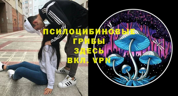 амф Липки
