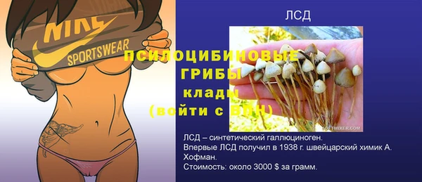 амф Липки