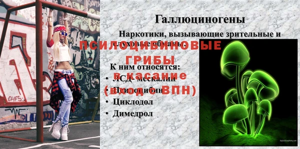 ешки Лиски