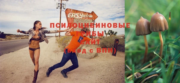 амф Липки