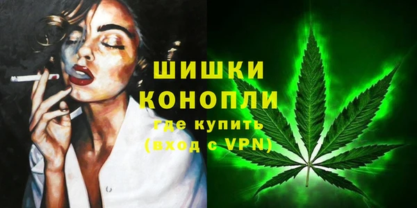 амф Липки