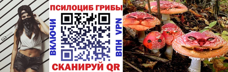 Псилоцибиновые грибы прущие грибы Партизанск